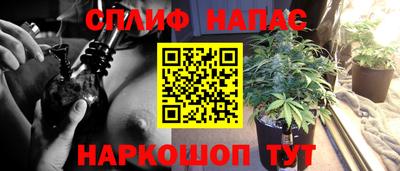 ешки Волжск