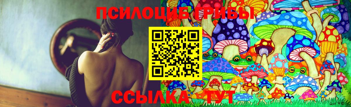 Галлюциногенные грибы Psilocybe Муром