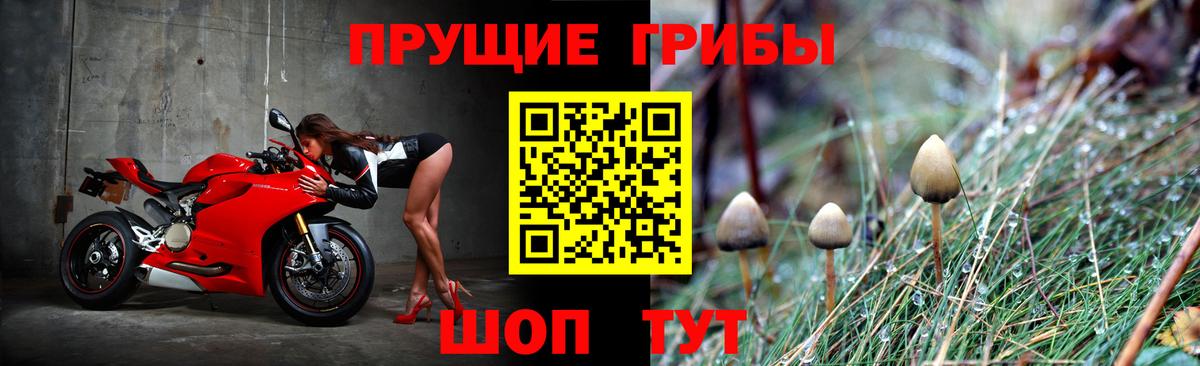 Муром  Галлюциногенные грибы GOLDEN TEACHER  Вход с VPN 
