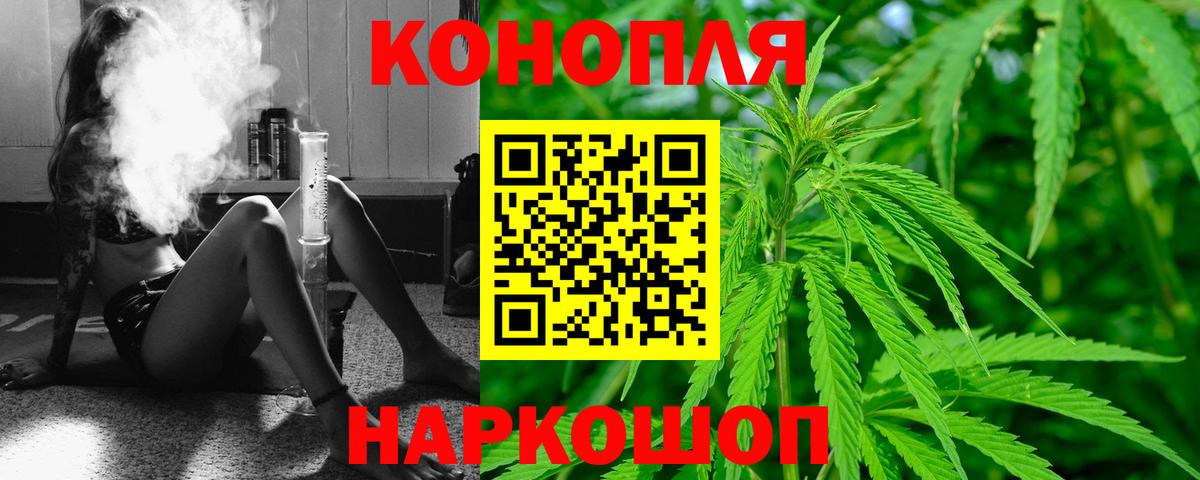 Бошки Шишки сатива Муром